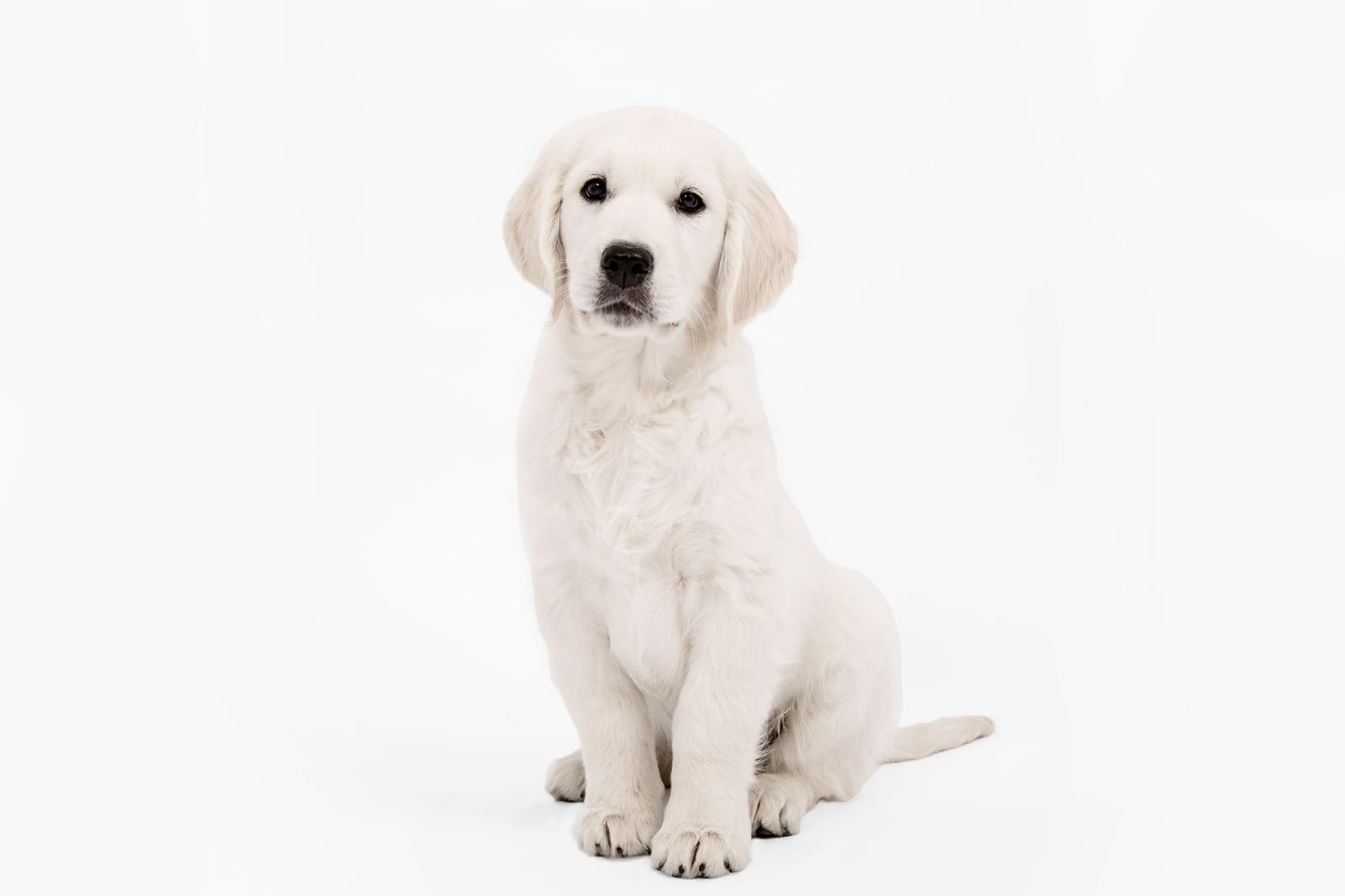 Kate Paper Backdrops for Photography Seamless Photo Background Paper