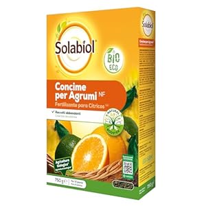 Solabiol Bio Zitrusfrüchte Granulat, 750 g
