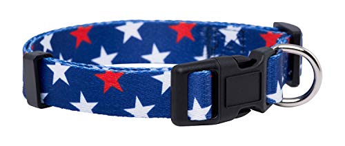 Native Pup American Flag Dog Collar- Red White and Blue- Patriotic Collars for 4th of July, USA- Adjustable Small, Medium, Large Breed Dogs (Small, Red & White Stars)