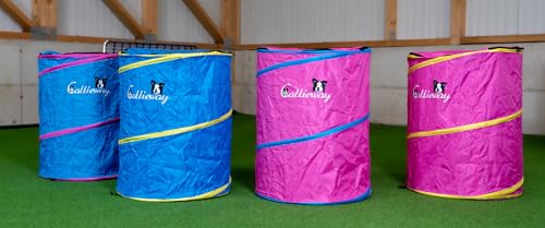 Callieway Hoopers Agility Barrel – Tonne/Fass für Hundetraining (Doppelpack, Blau) | Leicht, stabil & beschwerbar | Inkl. Transporttasche | Agility Parcours für Hunde | Fuchsia