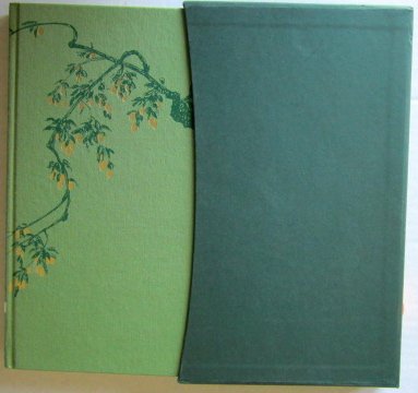 The Greengage Summer B006DNWT3Y Book Cover