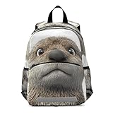 Photo Gallery wddzzyy cartoon funny sea otter bambini mini zaino ragazze cinturino petto libro borse per studenti bultos escolar para ni?as Photo Gallery wddzzyy cartoon funny sea otter bambini mini zaino ragazze cinturino petto libro borse per studenti bultos escolar para ni?as