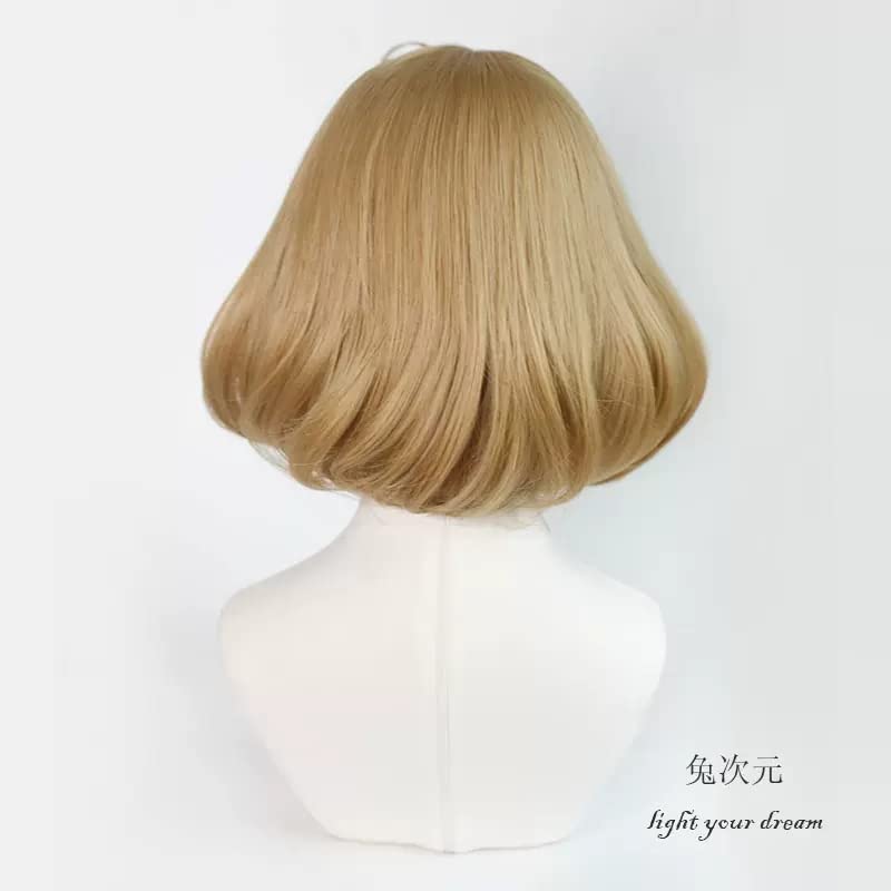 Amazon.co.jp: 勝利の女神 ニケ アニス コスプレウィッグ : ホビー
