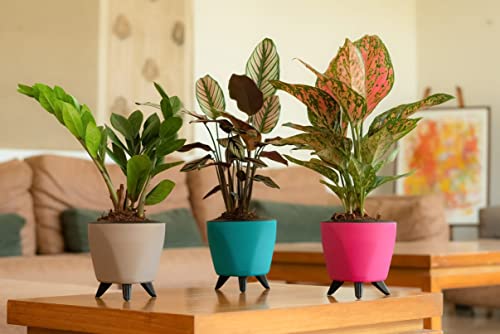 Image of Garden Art(Pack of 2 Indoor Outdoor Self Watering Planter Home Living Room Office Tabletop Decorative Plastic Flower Pot 5.1 Inch (Yellow, 2) PPLAY