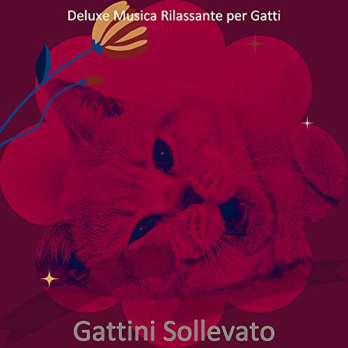  Atmosfera - Gattini Rosso