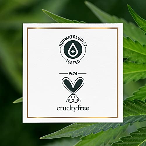 Herbal Essences Bio:renew Sulfate Free Hemp + Potent Aloe Shampoo And Conditioner Set, 13.5 Fl Oz Each — Nourishes Dry Hair For Frizz Control, Paraben Cruelty Safe Color Treated (Pack Of 1) #TOP6