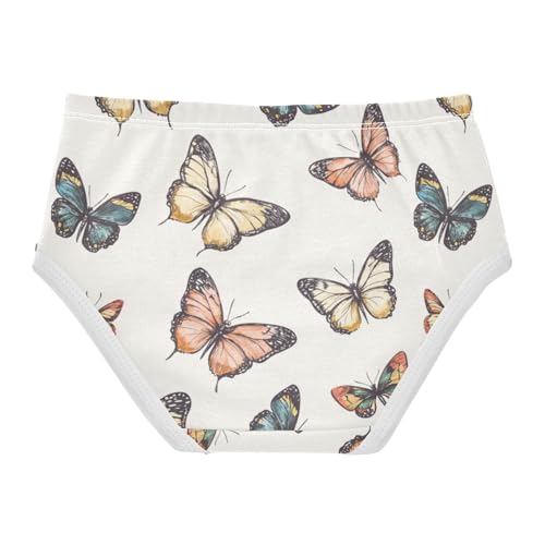 ZZKKO Vintage Butterfy Girls Underwear Toddler Panties for Girls Comfort Brief Size 2T-8Y2