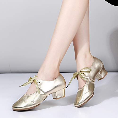 HIPPOSEUS Women's Latin Dance Practice Shoes Split Sole Ballroom Dance Training Shoes,Model 2152