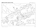Old Testament Bible Stories Coloring Book