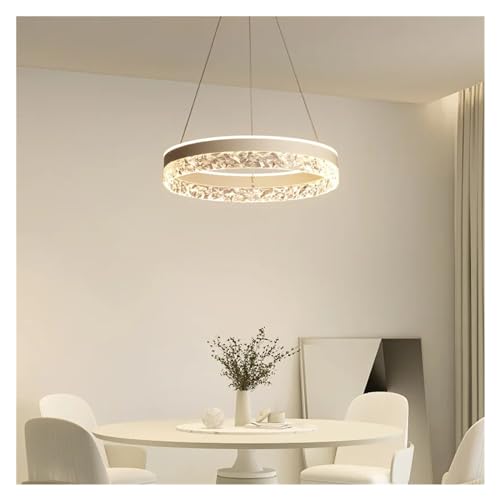 Lumière à lutte contre le pendentif d'éclairage LED circulaire haut de gamme