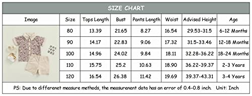 Image of CIYCUIT Toddler Baby Boys Shorts Set Short Sleeve Button Down Shirt + Shorts Pants 2 Pieces Summer Print Clothes Outfits