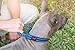 Tuff Pupper Heavy Duty Dog Collar with Handle | Ballistic Nylon Heavy Duty Collar | Padded Reflective Dog Collar with Adjustable Stainless Steel Hardware | Convenient Sizing for All Breeds