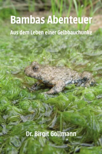 Bambas Abenteuer: Aus dem Leben einer Gelbbauchunke