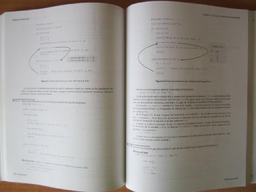 Amazon.com: Problemas resueltos de programación en lenguaje C++ ...