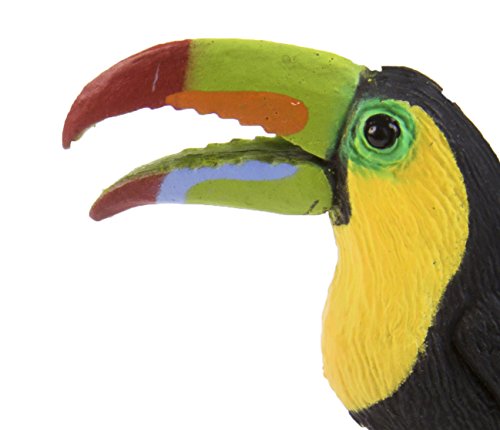 Safari Ltd. Tukan-Figur – lebensechte 7 cm große Vogelfigur – Lernspielzeug für Jungen, Mädchen und Kinder ab 3 Jahren