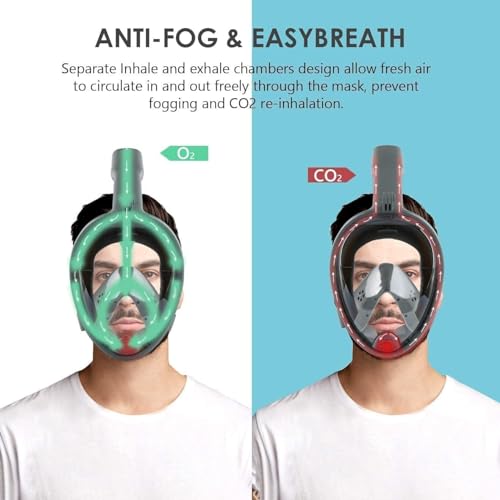 Image of Delavala Full Face Snorkeling Mask Diving Gear - Dry Top System,180 Degree Panoramic View Snorkeling Mask with Camera Mount,Safe Breathing,Anti-Leak Anti-Fog-Swim Fins (Grey - Large /X-Large)