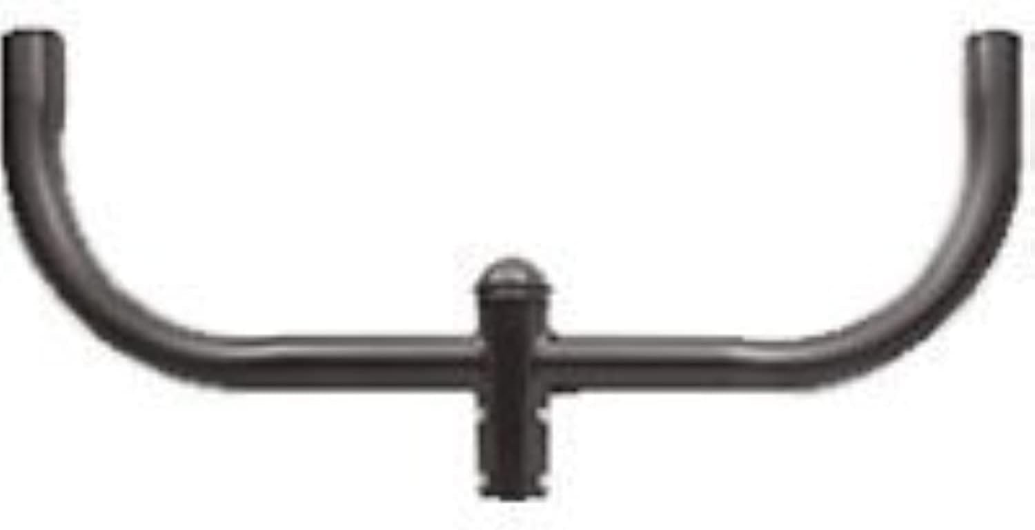 RAB Lighting BULL2 Bullhorn Bracket for 2 Lights, Steel, 36" Length, Bronze Color, Multicolor