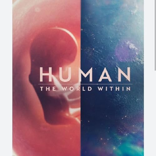 S1 E3 - Recommending the show Human The World Within