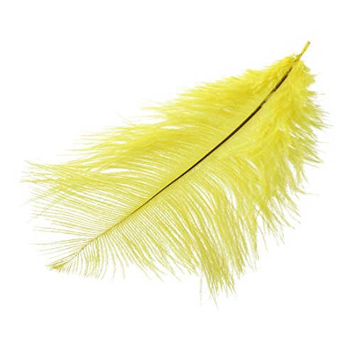 Decor piume di struzzo - SODIAL(R) 12 generi di