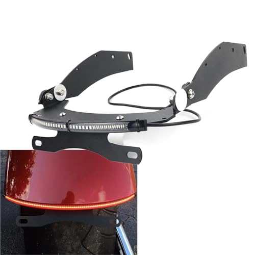 Support de plaque d'immatriculation arrière moto pour Honda Fury VT1300CX de 2010 à 2024