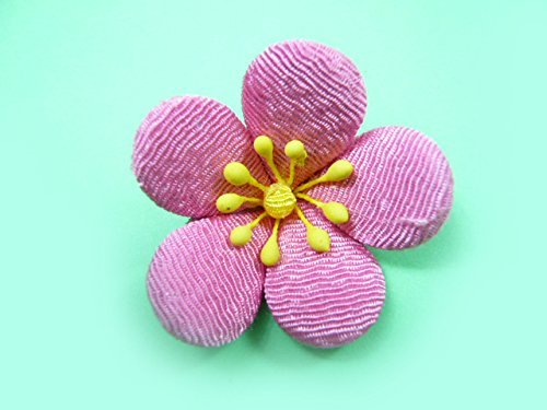 EЂȍՂ聟߂׍H ߂̓̉ 1 ZsN