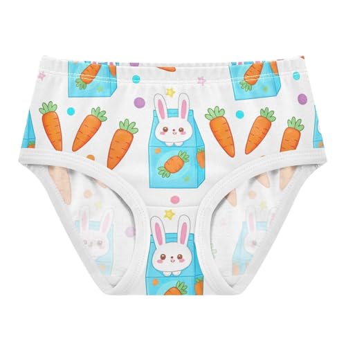 Kawaii Cute Bunny Toddler Underwear Custom 2t Cotton Panties Little Girl Fun Briefs Kids Undies