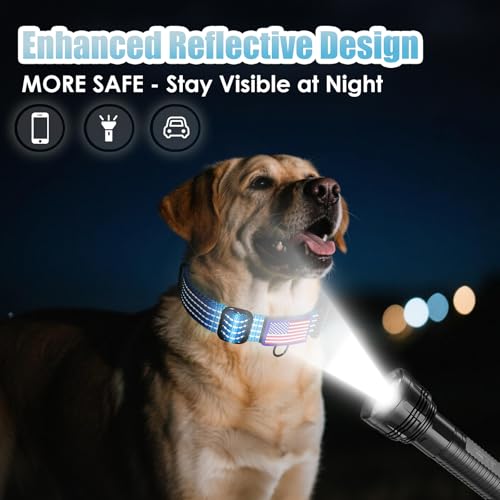 Image of Martingale Dog Collar Reflective NO Pull with USA Flag, L,Sky Blue | Escape Proof without choking,Adjustable Limited Slip Collar with Quick Release Buckle, Nylon Walking Collar for S M L Dogs