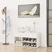 Leepesx Banco Zapatero; Zapatero Recibidor, Banco Recibidor, Zapatero con Asiento, Banco Entrada Recibidor, aglomerado Blanco con Brillo 80x30x45 cm