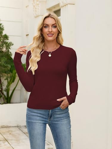 Image of Libsorge Womens Cute Crewneck Ribbed Knit Lightweight Thin Sheer Long Sleeve Sweater T Shirt Top Spring 2025