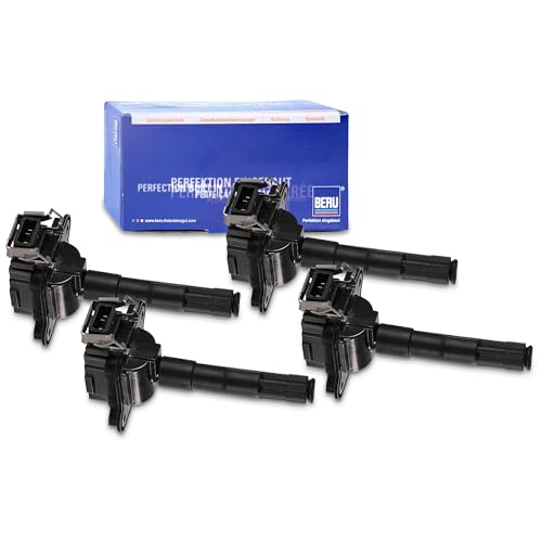 Bobine d'allumage crayon BorgWarner ZS016 pour trajets quotidiens sereins