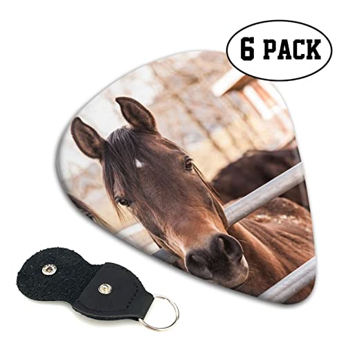 Ensemble de 6 médiators de guitare Brown Horses pour guitare acoustique, guitare électrique, basse, ukulélé – fin, moyen… - Les Beatles, Paul McCartney, John Lennon, RIngo Starr, George Harrison Ensemble de 6 médiators de guitare Brown Horses pour guitare acoustique, guitare électrique, basse, ukulélé - fin, moyen… – Image 3