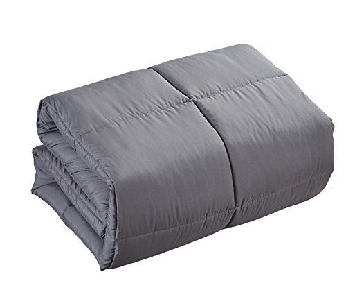 Christies Home Living Medium Warmth Polyester Comforter - Queen (88
