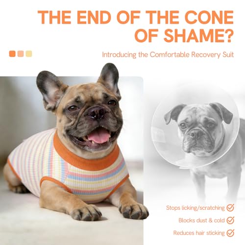 Image of SAWMONG Recovery Suit for Dogs Female Male, Cotton Breathable Dog Onesie After Surgery Spay Neuter, Professional Pet Surgical Suit, Substitute E-Collar Cone (Orange Stripes, 2XL)