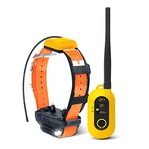 Dogtra Pathfinder 2 Collier de Repérage GPS & Dressage rechargeable, Lumière LED, Application...
