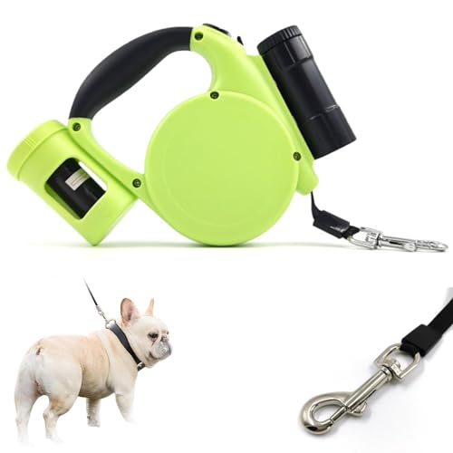 Guinzaglio estensibile per cani fino a 20 kg con contenitore e clip a moschettone, guinzaglio retrattile con manico antiscivolo e torcia elettrica, verde