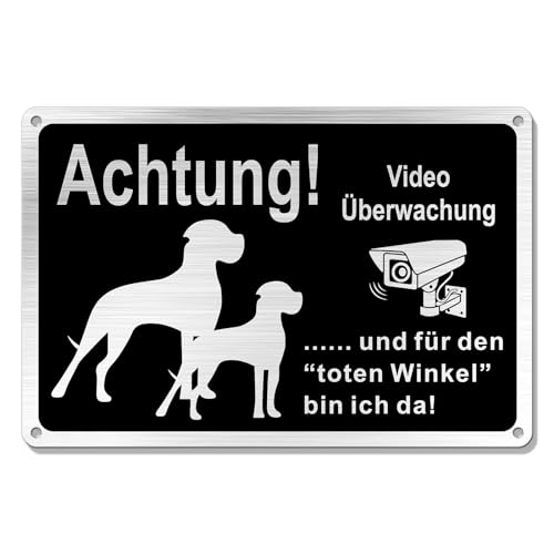 Goodvia Freilaufender Hund Videoüberwacht 30x20cm Metall Aluminium, Hunde Schilder Lustig und für den Toten Winkel Bin Ich Da