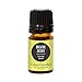 Breathe Easier Synergy Blend Essential Oil by Edens Garden - 5 ml(Peppermint, Rosemary, Lemon & Eucalyptus)