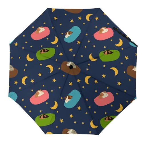 Parapluie automatique compact fini les parapluies cassés par le vent