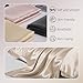 Gabire Mulberry Silk Pillow Cases Set of 2, Both Sides Real Silk Pillowcase for Hair and Skin Prevent Acne Pillowcase Organic Silk Pillowcase 2 Pack with Hidden Zipper, Champagne, Standard (20