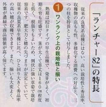とうもろこしページ2 楽天市場】＼今ならレビューで1000円クーポン!／ 送料無料