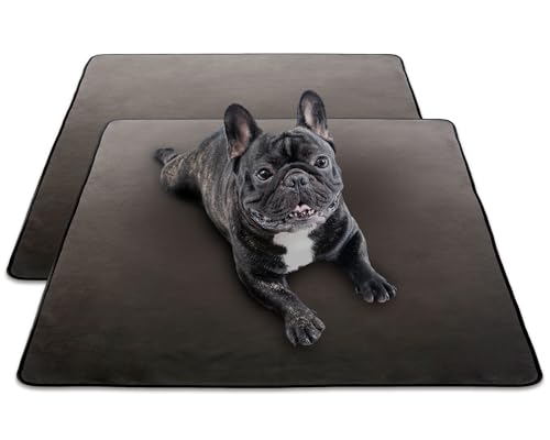 INULABO(Ck{) 􂦂 ybgV[c  }bg h ی ybg}bg ۂƐ􂦂 y񂱂vVׂz (100×100cm(2), O[)