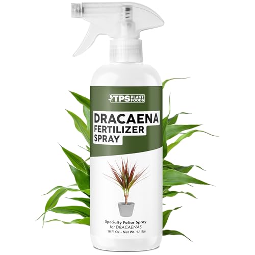 Dracaena Fertilizer Spray – Mist de 16 oz miniatura 1