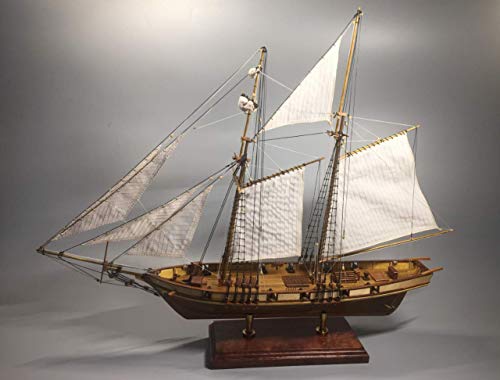 Scale 1/96 Laser-Cut Wooden Sailboat Model Kit: The Harvey 1847 Ship Model #TOP1