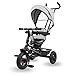 HyperMotion Triciclo Pieghevole per Bambini 1-4 Anni con Manubrio per Genitori - Bicicletta Evolutiva fino a 20kg - Monopattino Bambino Regolabile con Struttura Ergonomica, Grigio