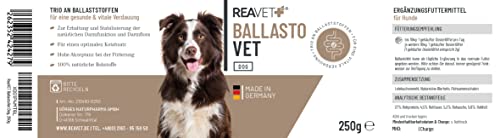 ReaVET BallastoVET für Hunde 250g – schnelle Unterstützung bei Verstopfungen beim Hund, bei akuten & chronischen Verstopfungen & festem KOT, Verdauungshilfe für Hunde, schnelle Hilfe bei Darmträgheit