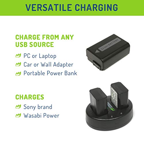 Wasabi Power Battery (2-Pack) e caricabatterie