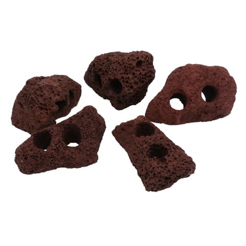 NOLITOY 5個 水草リング 美しい装飾 彫刻の装飾 赤い装飾 植物 シクリッド 貝殻 トークン 水族館装飾岩 海洋 水族館淡水用溶岩石 ふた付きバスケット装飾収納 ドック 太陽 風鈴 火山岩