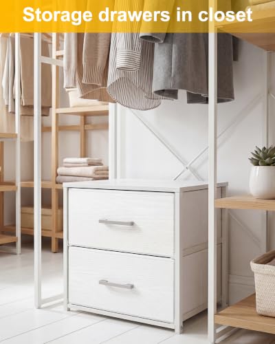 Image of Fixwal Closet Drawers for Clothes, 1 Pack, 2 Drawers Dresser, 15.7 inch Wide