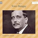 Cover of Tono-Bungay