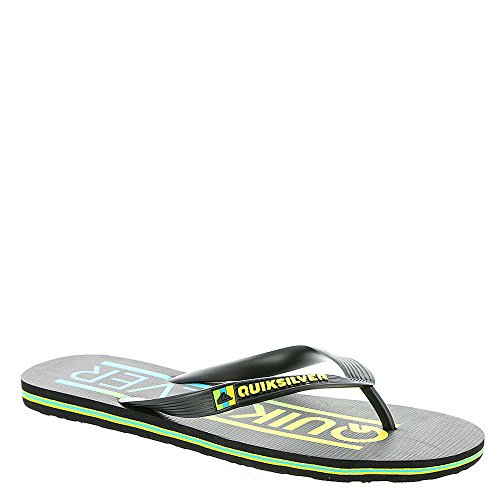 Quiksilver Men's Molokai Wordmark Flip-Flop